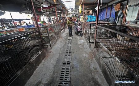 Cages are emptied at a closed live poultry market in Changsha
