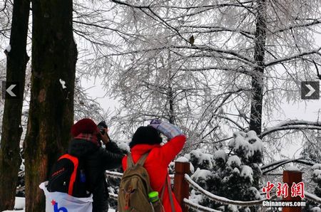 Spring snow adds charms to Wulingyuan National Park in Zhuangjiajie