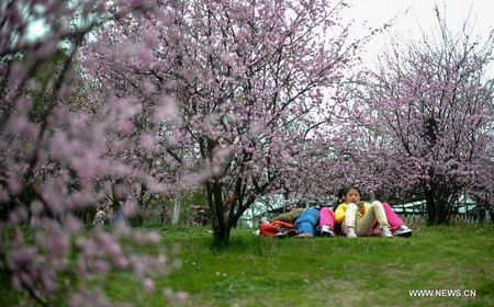 Tourists enjoy blossoming flowers in China's Changsha