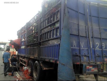 Seven killed in road accident on Beijing-Hong Kong-Macao Expressway