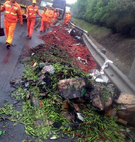 Seven killed in road accident on Beijing-Hong Kong-Macao Expressway