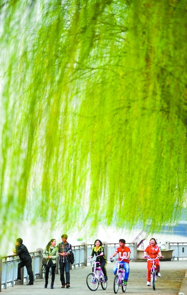 People in Changsha spend their leisure time in the Orange Island scenic spot to enjoy good spring