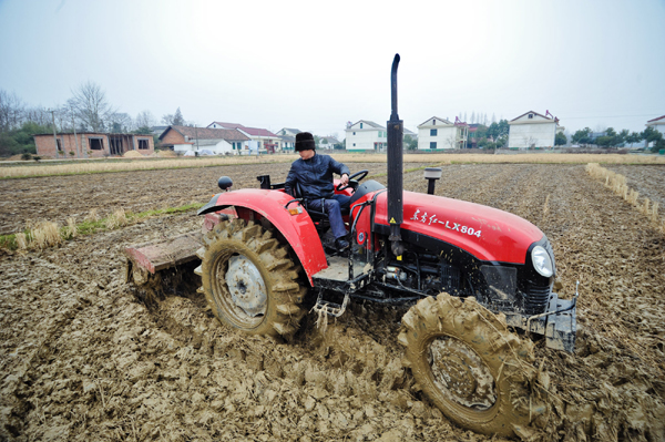 Farming in early spring
