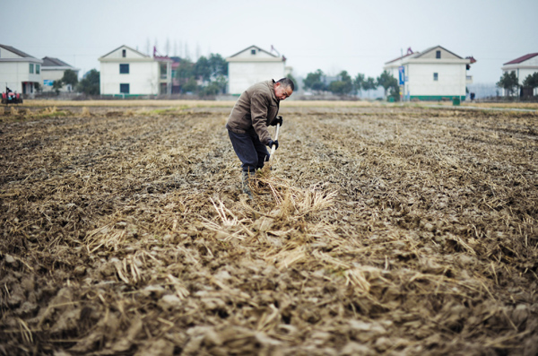 Farming in early spring