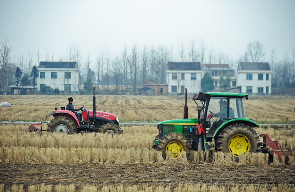 Farming in early spring
