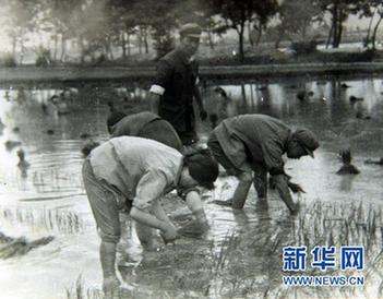 学习杨善洲精神：坚守共产党人的精神高地