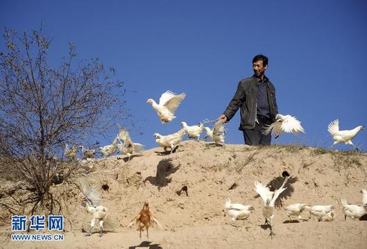 “土鸡蛋”穿外衣卖高价 炒概念消费者雾里看花