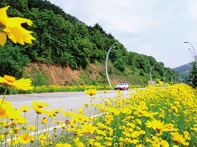 集安境内集锡公路两侧风景亮丽