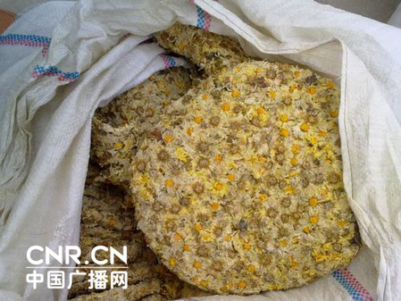 菊花之乡陷硫磺疑云 每年200吨硫磺菊入市