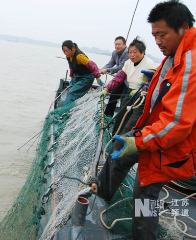 菊黄蟹肥时 渔民捕蟹忙