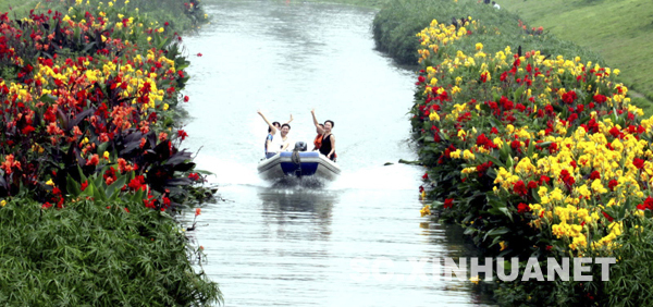 成都双流：水上花床迷人眼