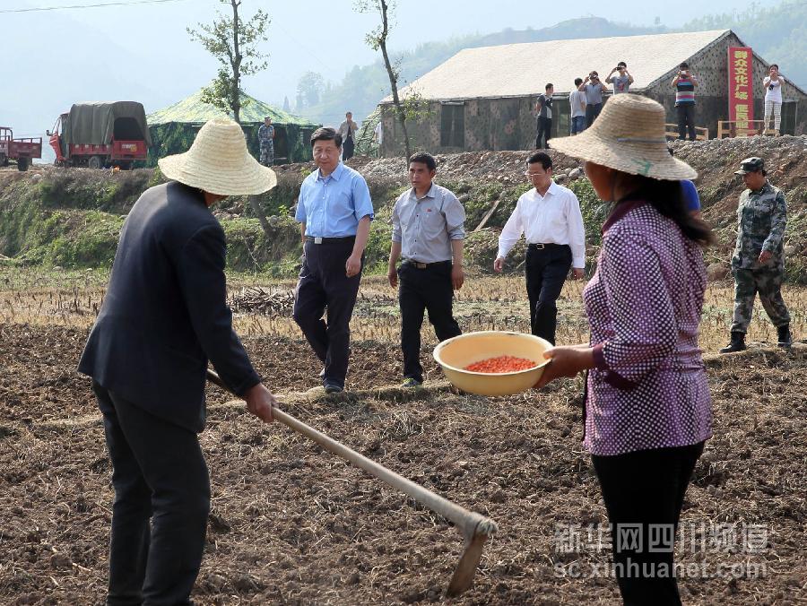 习近平在芦山地震灾区考察