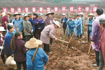 探访先行者 四川16个计划摘帽县取真经