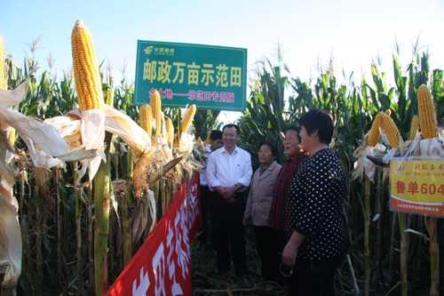 山东邮政：发挥邮政网络优势，建立“三农”服务体系