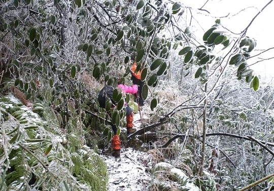 广西10名失踪“驴友”位置确定 大雪封山救援难度大