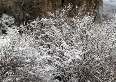 北京迎来入冬后第二场雪 冬日京城八大赏雪胜地