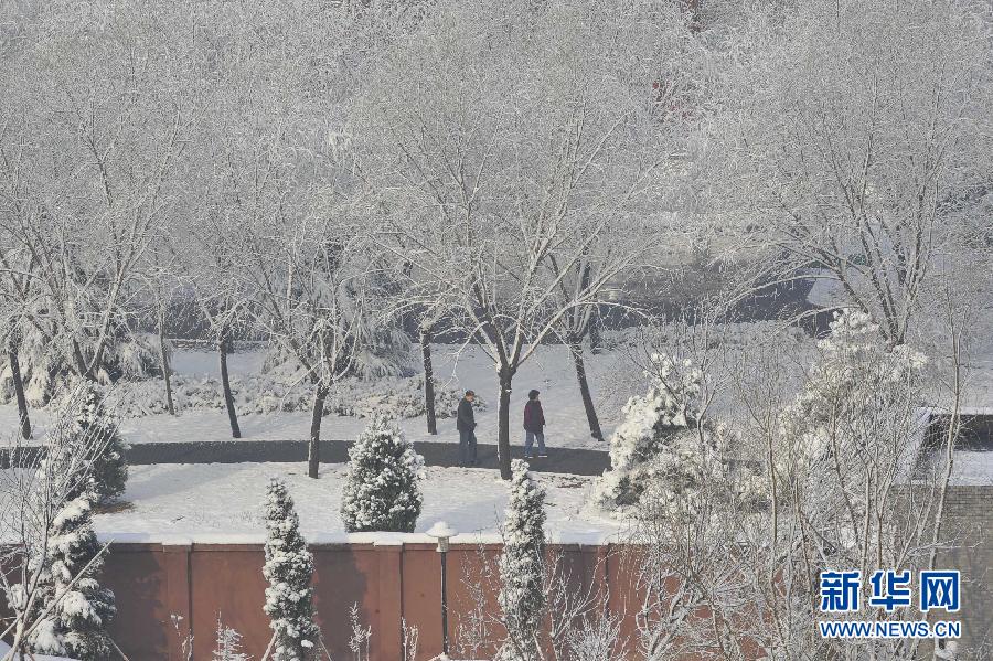 京城降雪迎春分 银装素裹如童话世界