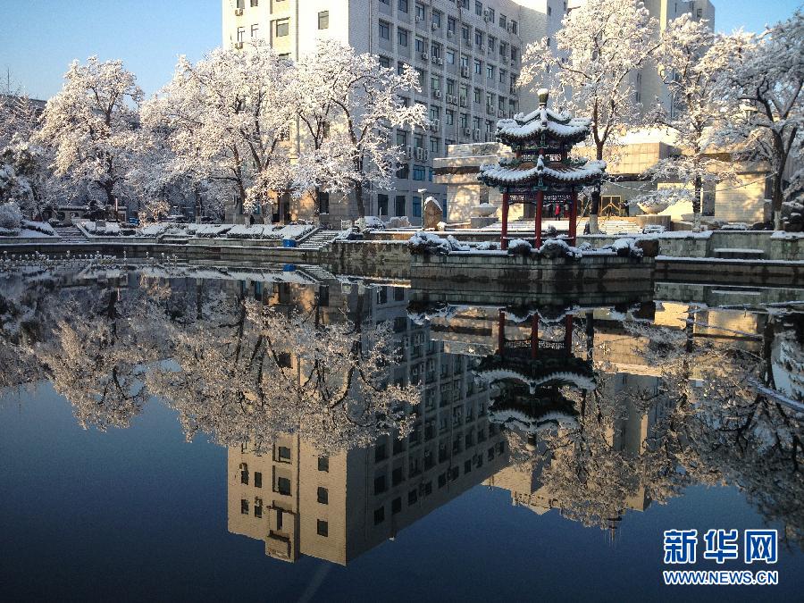 京城降雪迎春分 银装素裹如童话世界