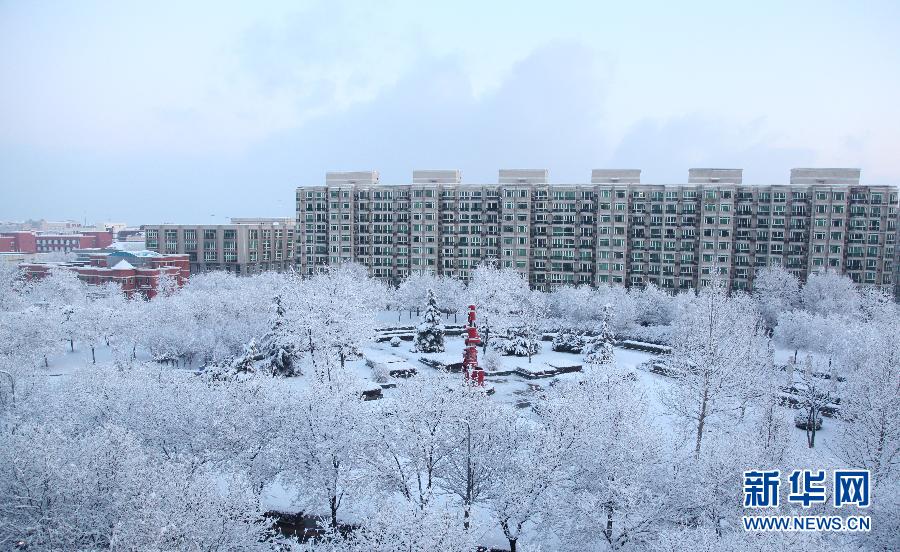 京城降雪迎春分 银装素裹如童话世界