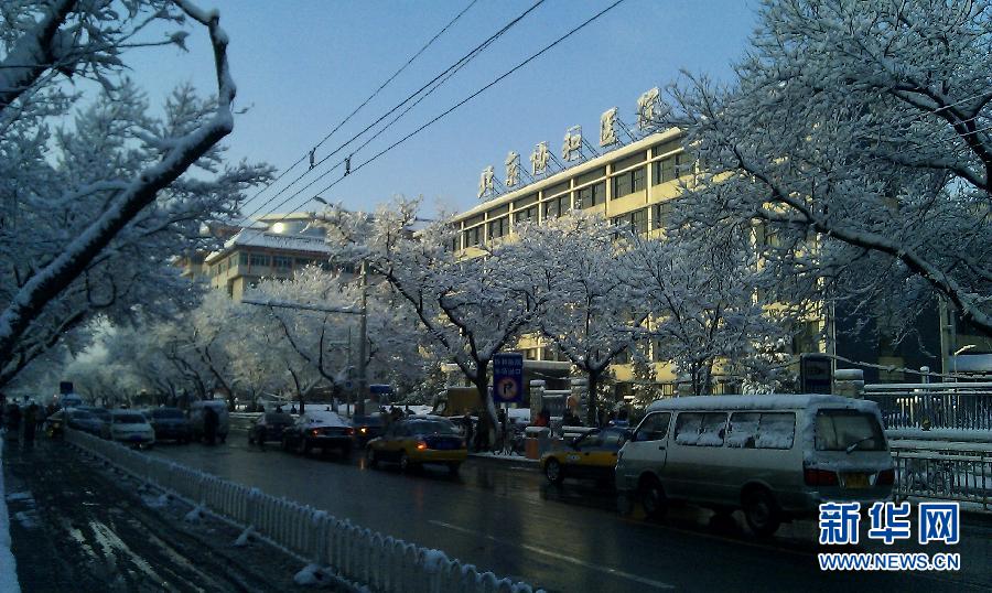 京城降雪迎春分 银装素裹如童话世界