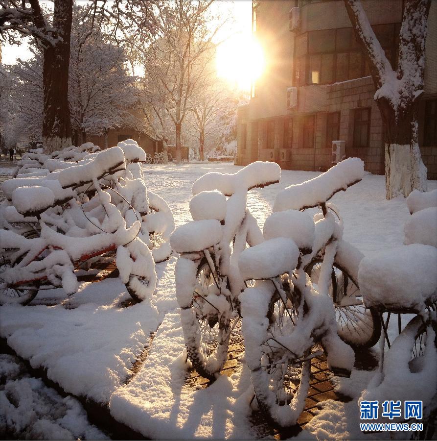 京城降雪迎春分 银装素裹如童话世界