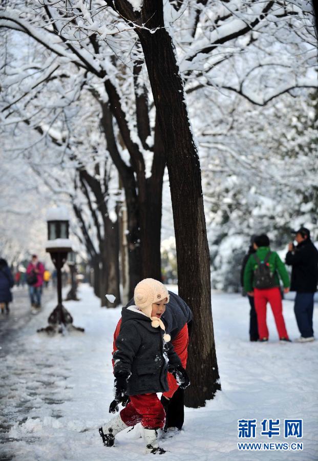 京城降雪迎春分 银装素裹如童话世界