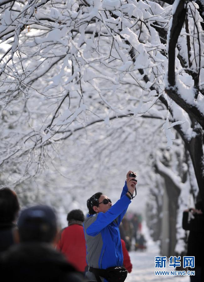 京城降雪迎春分 银装素裹如童话世界