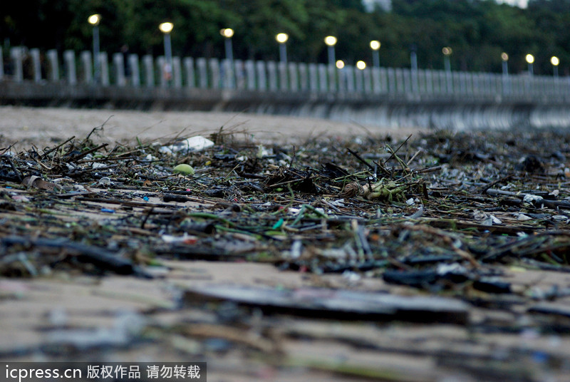 大批垃圾借台风苏力“入侵”厦门 海滩变“垃圾场”