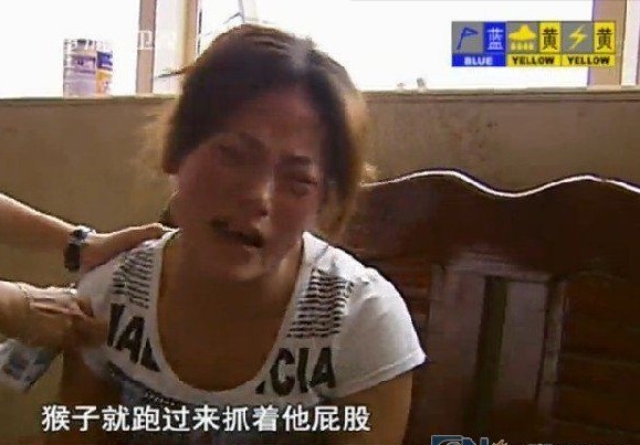 游客喂猴致男婴睾丸被吞食 母亲见状吓到崩溃(图)