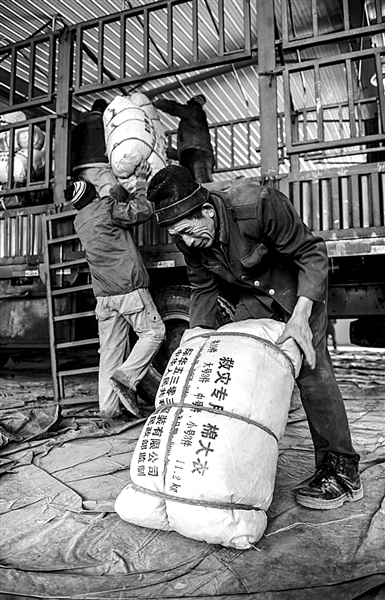 专家：吉林近期地震频繁与前年日本9级地震有关