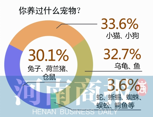 大学生养宠物五花八门:蜥蜴、蜘蛛、蜈蚣应有尽有