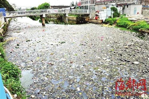 福建一河水污染发臭滋生蚊虫 居民不敢开窗(图)