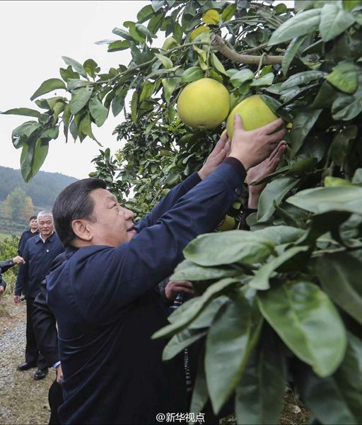 习近平赴湘西调研扶贫攻坚（图）