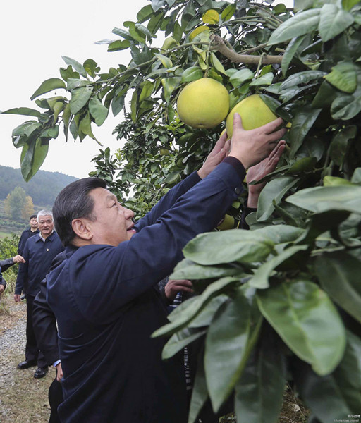 习近平在湖南考察时强调：深化改革开放推进创新驱动 实现全年经济社会发展目标