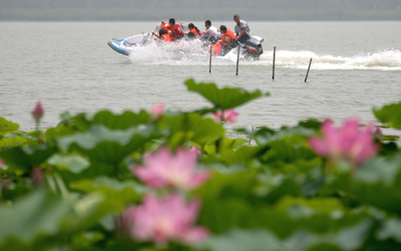 黄土高原圣天湖野荷盛开迎游客