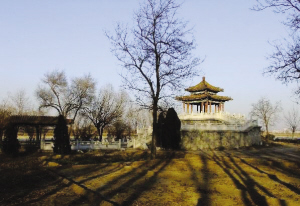 柳林 50年代的城市风景