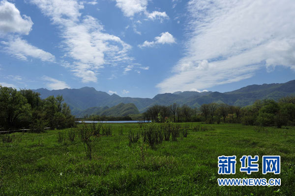 神农架高山湿地大九湖掠影