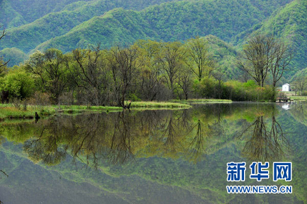 神农架高山湿地大九湖掠影