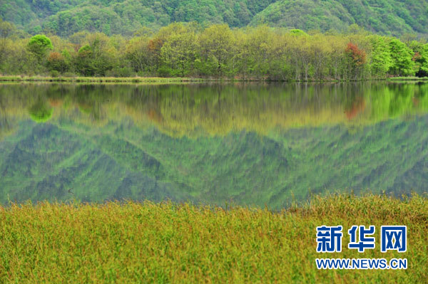 神农架高山湿地大九湖掠影