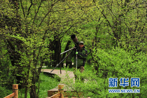 神农架高山湿地大九湖掠影