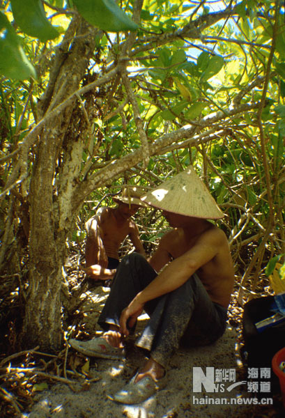 珍贵！1991年西沙科考海量历史照