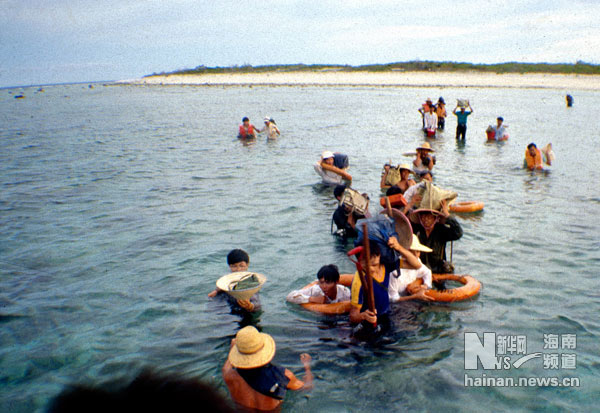 珍贵！1991年西沙科考海量历史照