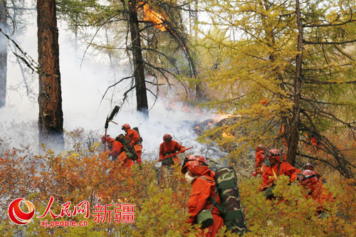 新疆森林武警忠诚守护广袤林海造福驻地各族群众