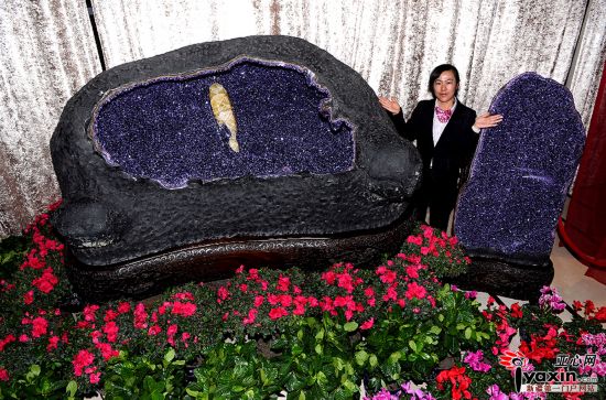乌鲁木齐现世界罕见3吨重紫水晶 里面可躺入一人