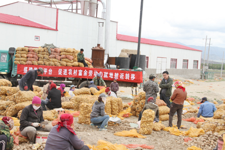 青河县巧妙化解“用工荒”和“务工难”难题实现就业促增收