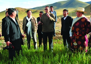 向巴平措在仲巴措勤白朗浪卡子等县农牧区调研