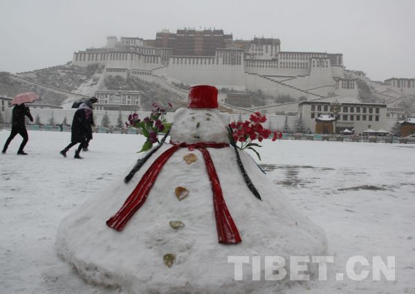 拉萨飘新年初雪 市民游客玩嗨了