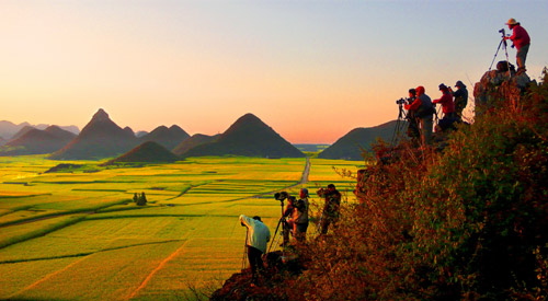 2010年云南罗平国际油菜花文化旅游节下月开幕