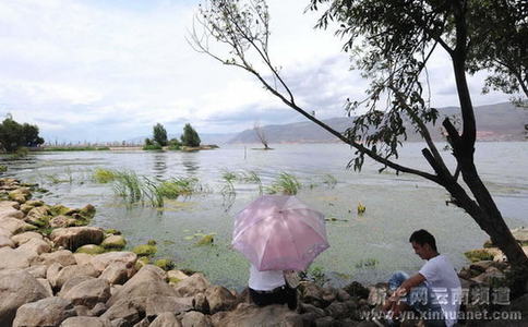 大理洱海水质提升 生态环境明显改善