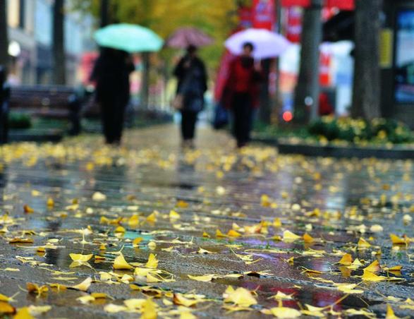 杭州迎大风降温降雨天气